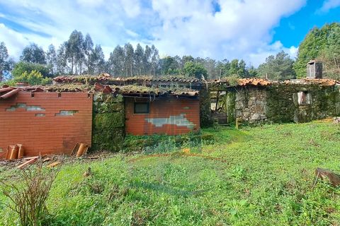 Villa i Ponte de Lima, Viana do Castelo, Ponte de Lima - € 99.000 | Ref: 6105 - foto 6