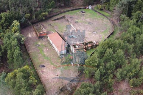 Villa i Ponte de Lima, Viana do Castelo, Ponte de Lima - € 99.000 | Ref: 6105 - foto 11