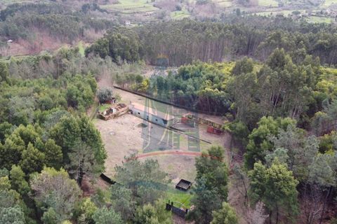 Villa i Ponte de Lima, Viana do Castelo, Ponte de Lima - € 99.000 | Ref: 6105 - foto 12