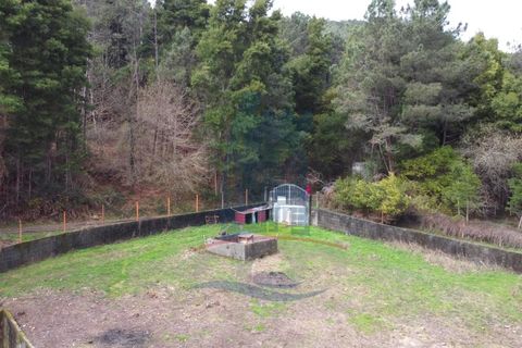 Villa i Ponte de Lima, Viana do Castelo, Ponte de Lima - € 99.000 | Ref: 6105 - foto 14