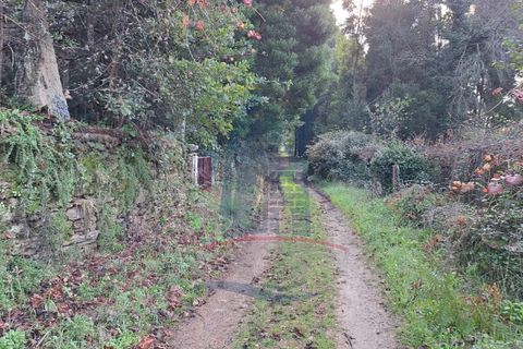 Helårsgrund i Ponte de Lima, Viana do Castelo, Ponte de Lima - € 6.500 | Ref: 5978 - foto 2