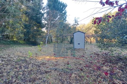 Helårsgrund i Ponte de Lima, Viana do Castelo, Ponte de Lima - € 6.500 | Ref: 5978 - foto 5
