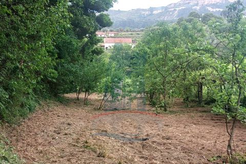 Helårsgrund i Ponte de Lima, Viana do Castelo, Ponte de Lima - € 6.500 | Ref: 5978 - foto 6
