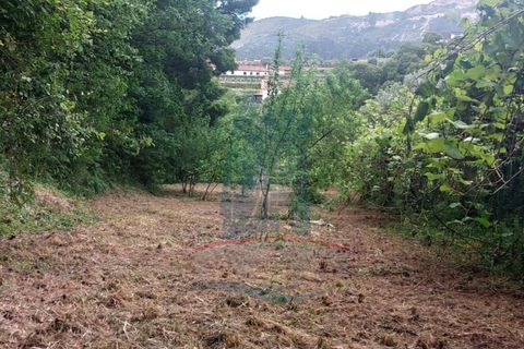Helårsgrund i Ponte de Lima, Viana do Castelo, Ponte de Lima - € 6.500 | Ref: 5978 - foto 7