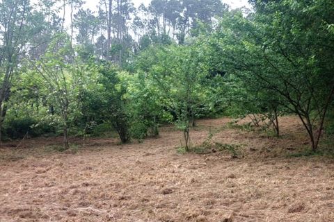 Helårsgrund i Ponte de Lima, Viana do Castelo, Ponte de Lima - € 6.500 | Ref: 5978 - foto 8