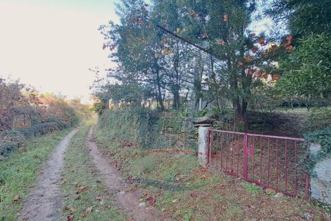 Helårsgrund i Ponte de Lima, Viana do Castelo, Ponte de Lima - € 6.500 | Ref: 5978 - foto 10