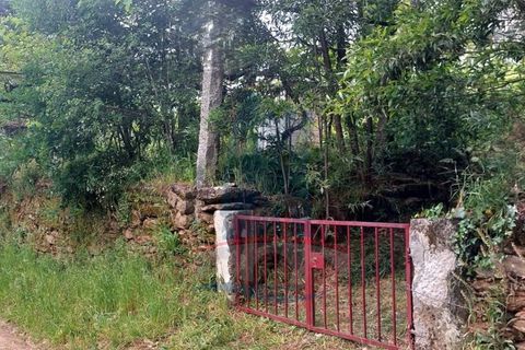 Helårsgrund i Ponte de Lima, Viana do Castelo, Ponte de Lima - € 6.500 | Ref: 5978 - foto 11