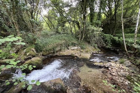 Villa i Ponte de Lima, Viana do Castelo, Ponte de Lima - € 670.000 | Ref: 5871 - foto 10