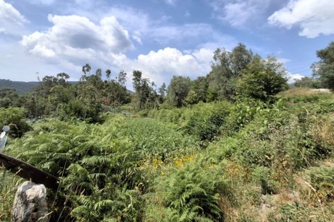 Helårsgrund i Ponte de Lima, Viana do Castelo, Ponte de Lima - € 120.000 | Ref: 6241 - foto 2