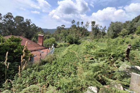 Helårsgrund i Ponte de Lima, Viana do Castelo, Ponte de Lima - € 120.000 | Ref: 6241 - foto 3