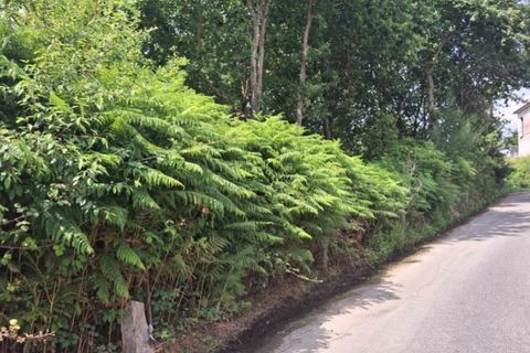 Helårsgrund i Ponte de Lima, Viana do Castelo, Ponte de Lima - € 120.000 | Ref: 6241 - foto 5