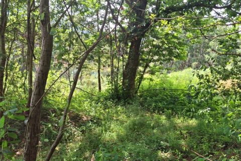 Helårsgrund i Ponte de Lima, Viana do Castelo, Ponte de Lima - € 120.000 | Ref: 6241 - foto 8