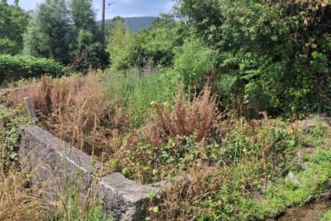 Helårsgrund i Ponte de Lima, Viana do Castelo, Ponte de Lima - € 120.000 | Ref: 6241 - foto 10