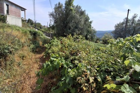 Helårsgrund i Ponte de Lima, Viana do Castelo, Ponte de Lima - € 120.000 | Ref: 6241 - foto 11