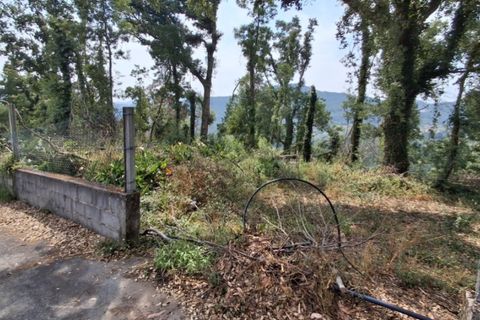 Helårsgrund i Ponte de Lima, Viana do Castelo, Ponte de Lima - € 120.000 | Ref: 6241 - foto 13