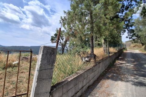 Helårsgrund i Ponte de Lima, Viana do Castelo, Ponte de Lima - € 120.000 | Ref: 6241 - foto 15