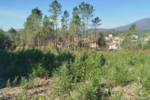 Helårsgrund i Ponte de Lima, Viana do Castelo, Ponte de Lima - € 75.000 | Ref: 6249 - foto 2