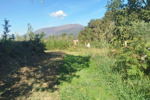 Helårsgrund i Ponte de Lima, Viana do Castelo, Ponte de Lima - € 75.000 | Ref: 6249 - foto 3