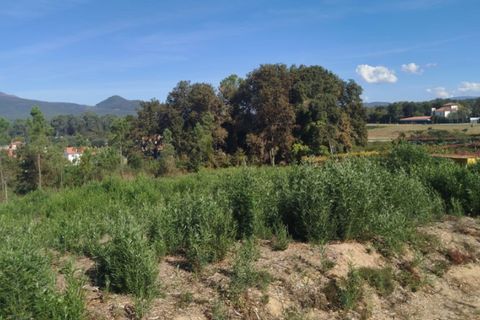 Helårsgrund i Ponte de Lima, Viana do Castelo, Ponte de Lima - € 75.000 | Ref: 6249 - foto 5
