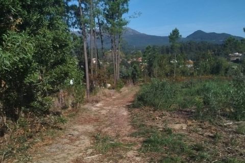 Helårsgrund i Ponte de Lima, Viana do Castelo, Ponte de Lima - € 75.000 | Ref: 6249 - foto 6