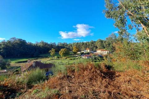 Helårsgrund i Ponte de Lima, Viana do Castelo, Ponte de Lima - € 54.000 | Ref: 6263 - foto 1