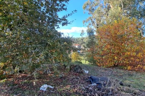 Helårsgrund i Ponte de Lima, Viana do Castelo, Ponte de Lima - € 54.000 | Ref: 6263 - foto 4