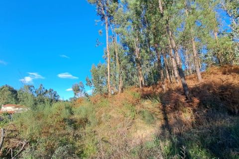 Helårsgrund i Ponte de Lima, Viana do Castelo, Ponte de Lima - € 54.000 | Ref: 6263 - foto 5