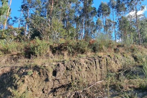 Helårsgrund i Ponte de Lima, Viana do Castelo, Ponte de Lima - € 54.000 | Ref: 6263 - foto 6