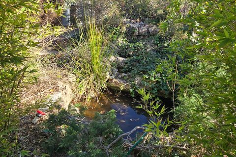 Landejendom i Salinas, Alicante, Salinas - € 350.000 | Ref: Salinas Rustic - foto 30