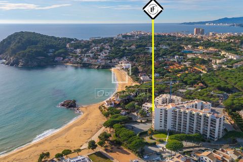 Leilighet i Palamos, Gerona, Palamos - € 510 000 | Ref: CBR63926 - foto 22