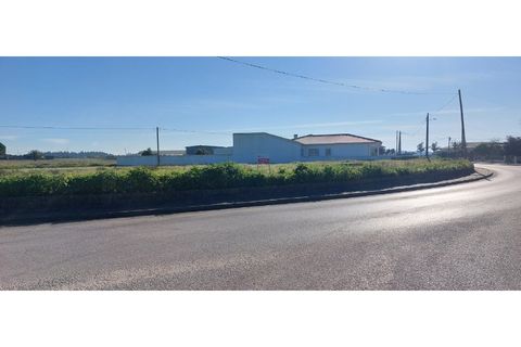 Terra a Monte Real, Leiria, Monte Real - € 35.000 | Ref: mg1823-2 - foto 2