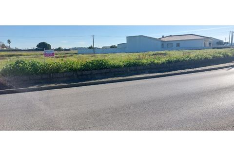 Terra a Monte Real, Leiria, Monte Real - € 35.000 | Ref: mg1823-2 - foto 3