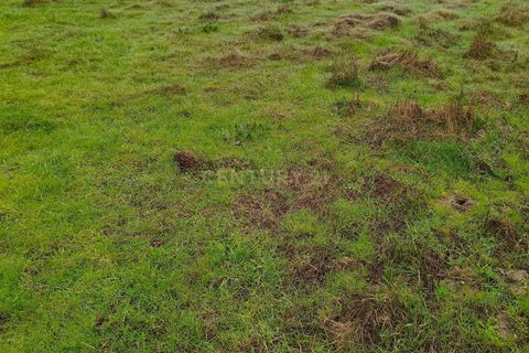 Helårsgrund i Evora, Evora, Evora - € 229.000 | Ref: C0185-03227 - foto 9