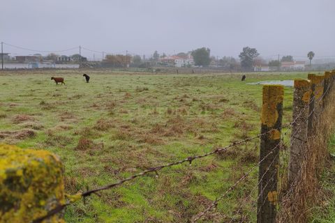 Helårsgrund i Evora, Evora, Evora - € 229.000 | Ref: C0185-03227 - foto 10