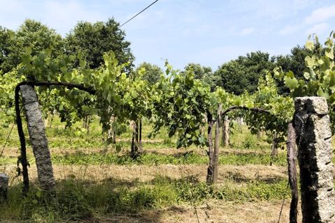 Helårsgrund i Bela, Viana do Castelo, Bela - € 80.000 | Ref: UNU-F3-71-9 - foto 2