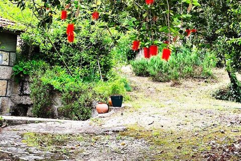 Farm i Amarante, Porto, Amarante - € 395.000 | Ref: SF-SAFTI:007563 - foto 3