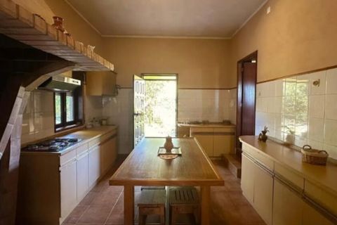 Farm i Amarante, Porto, Amarante - € 395.000 | Ref: SF-SAFTI:007563 - foto 11