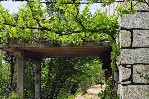 Farm i Amarante, Porto, Amarante - € 395.000 | Ref: SF-SAFTI:007563 - foto 14