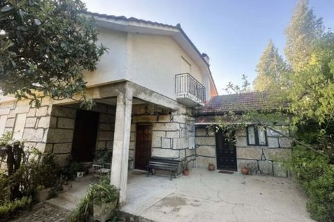 Farm i Amarante, Porto, Amarante - € 395.000 | Ref: SF-SAFTI:007563 - foto 15