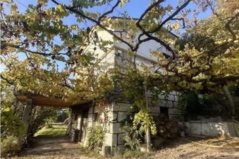 Farm i Amarante, Porto, Amarante - € 395.000 | Ref: SF-SAFTI:007563 - foto 16