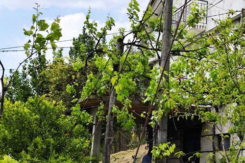 Farm i Amarante, Porto, Amarante - € 395.000 | Ref: SF-SAFTI:007563 - foto 17