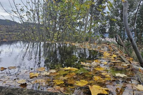 Farm i Amarante, Porto, Amarante - € 395.000 | Ref: SF-SAFTI:007563 - foto 19