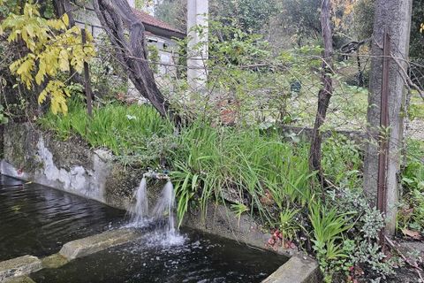 Farm i Amarante, Porto, Amarante - € 395.000 | Ref: SF-SAFTI:007563 - foto 20