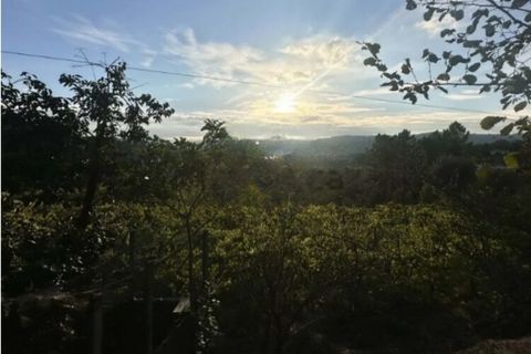Farm i Amarante, Porto, Amarante - € 395.000 | Ref: SF-SAFTI:007563 - foto 21