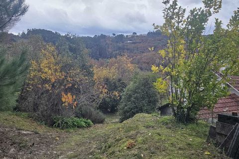 Farm i Amarante, Porto, Amarante - € 395.000 | Ref: SF-SAFTI:007563 - foto 24
