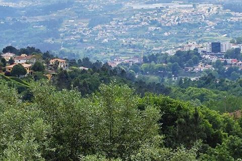Farm i Amarante, Porto, Amarante - € 395.000 | Ref: SF-SAFTI:007563 - foto 25