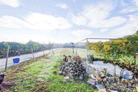 Villa a Mealhada, Aveiro, Mealhada - € 595.000 | Ref: 1040831/25 BR - foto 8