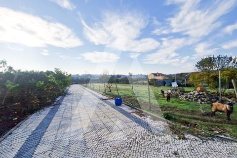 Villa a Mealhada, Aveiro, Mealhada - € 595.000 | Ref: 1040831/25 BR - foto 9