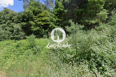 Helårsgrund i Santo Tirso, Porto, Santo Tirso - € 83.000 | Ref: 240-T-26056 - foto 1