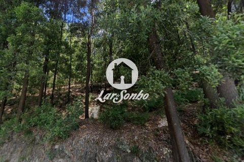 Helårsgrund i Santo Tirso, Porto, Santo Tirso - € 83.000 | Ref: 240-T-26056 - foto 4